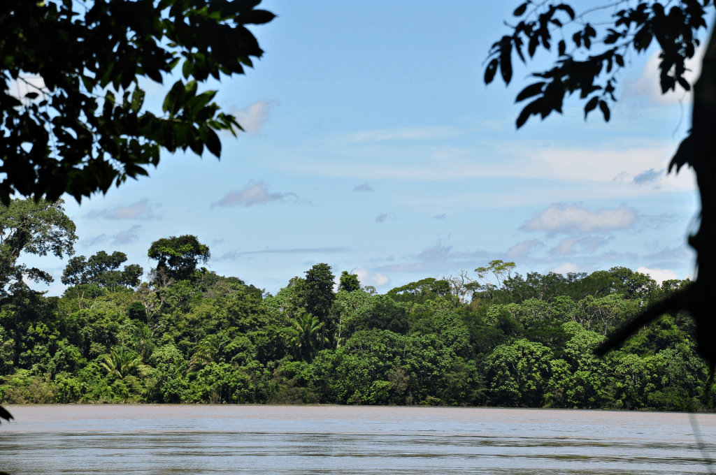 PROJETO DE RECONHECIMENTO DO RIO TRACOÁ NO PARQUE NACIONAL DA AMAZÔNIA